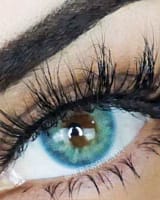 AD_bleu_y lentilles - bleu