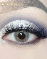 lentilles - grise