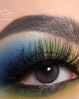 bassia-gray-gris-y lentilles - grise