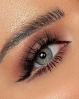 lentilles - grise