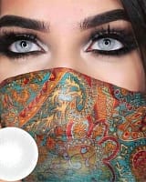 lentilles - grise