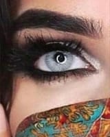 lentilles - grise