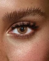 tan_brown_y lentilles - noisettes Tan
