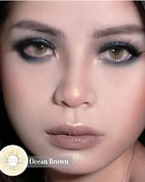 Ocean Brown lentilles noisettes
