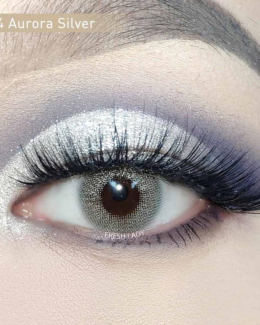 lentilles - grise