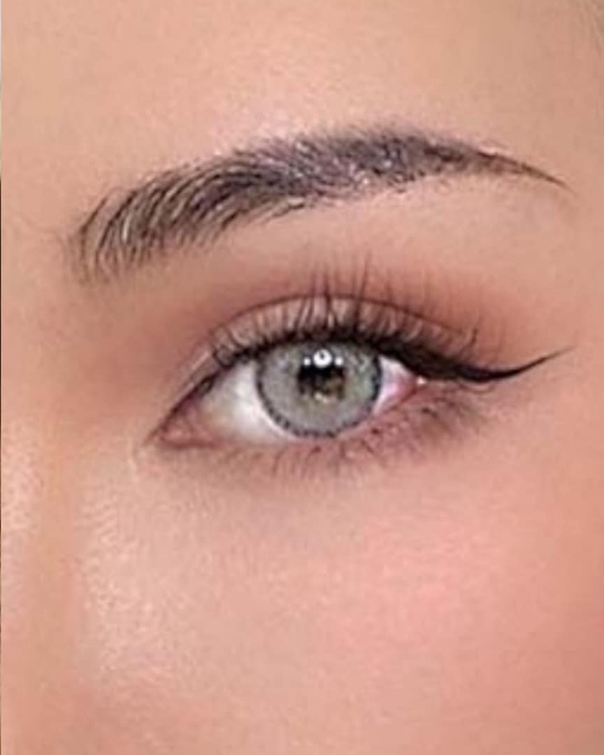 lentilles - grise
