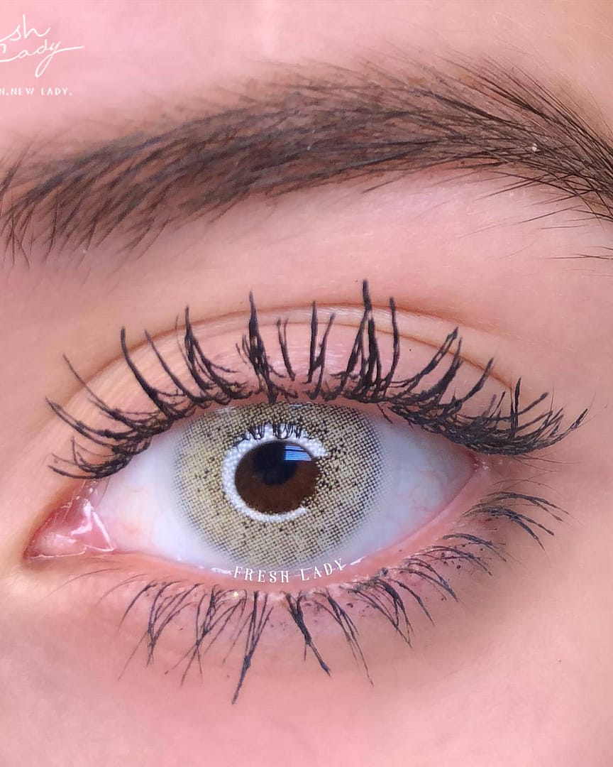 lentilles - grise