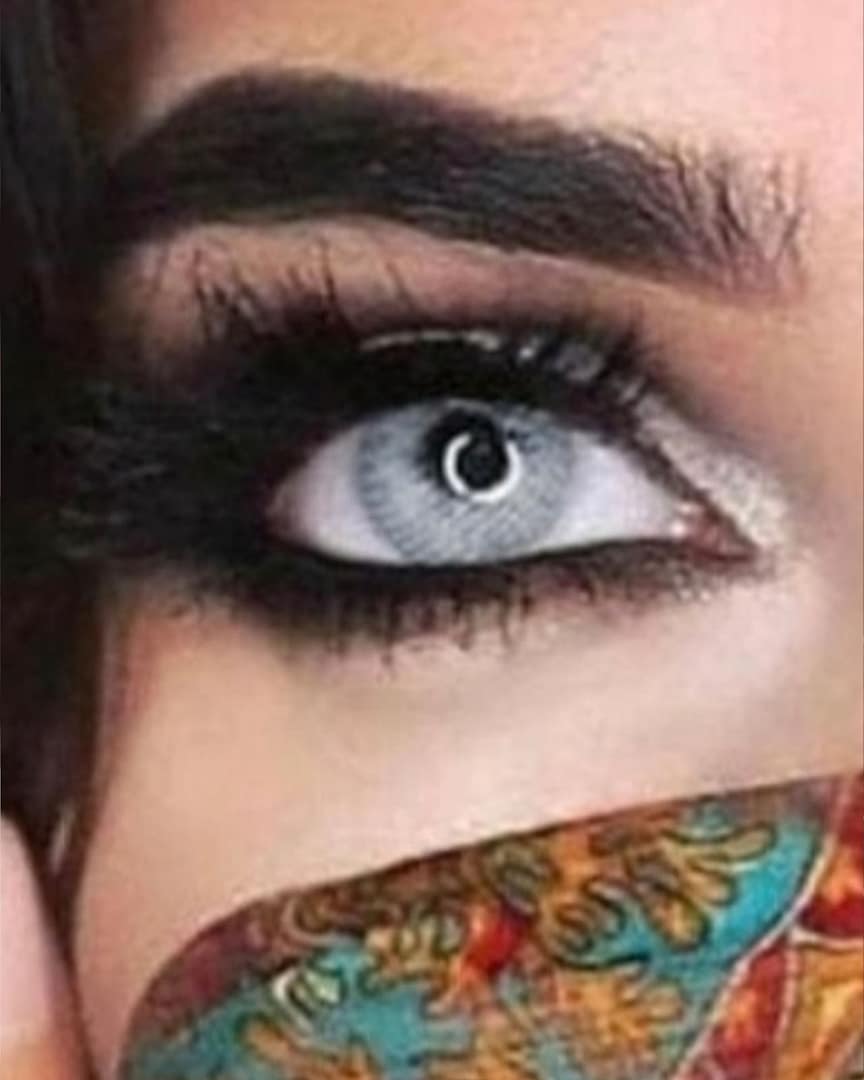 lentilles - grise