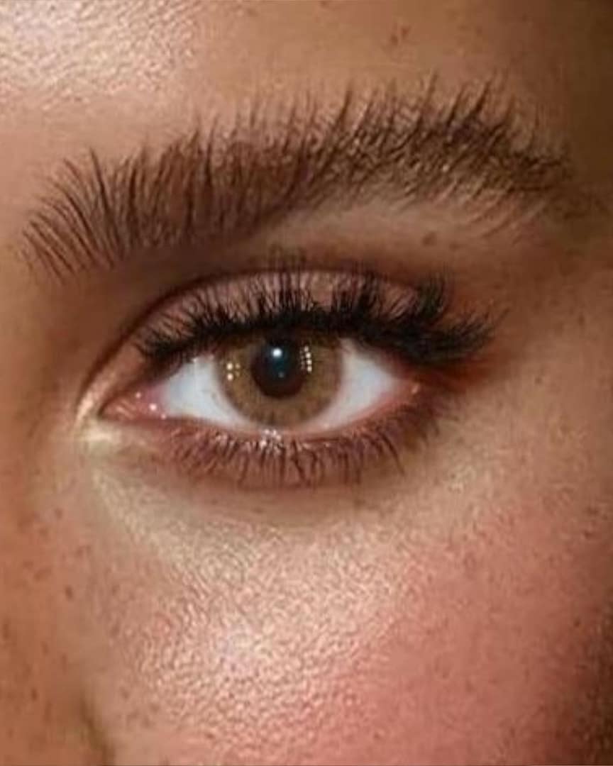 tan_brown_y lentilles - noisettes Tan