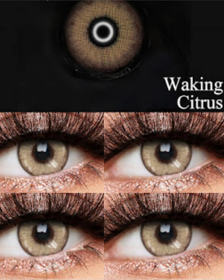 wakigcitrus3